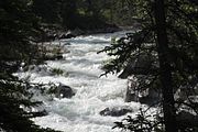 24 - Maligne Canyon, Medicine Lake, Maligne Lake - IMG_1109